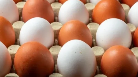 Koliko zapravo dugo smeju da se čuvaju sveža jaja u frižideru? Iznenadićete se