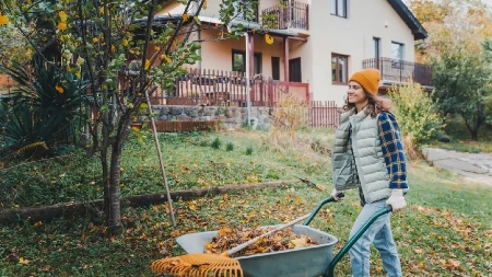 Šta neuredno dvorište govori o karakteru vlasnika: Jedna stvar posebno upada u oči