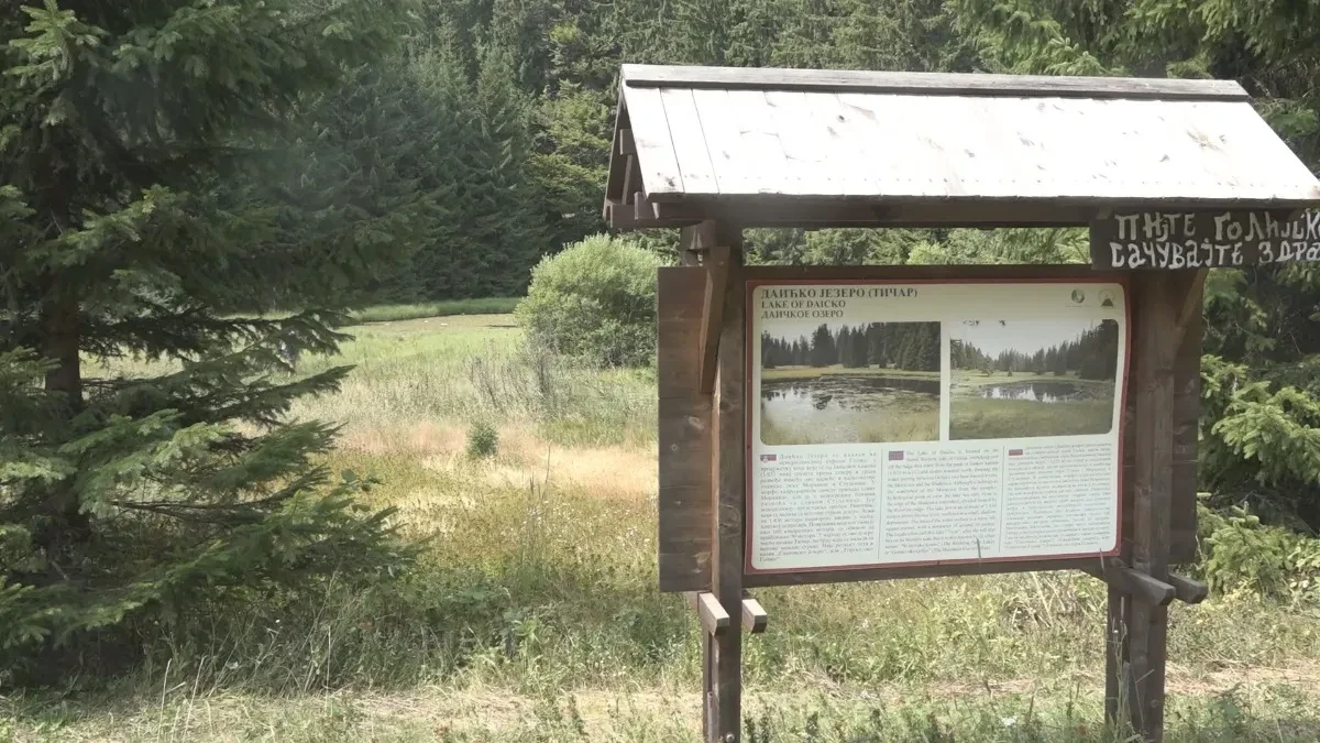 Proglašena za Park prirode planina Golija posebna je po svojim jezerima, Dajićko je jedno od njih: Za ovu lokaciju na srpskoj netaknutoj lepotici vezani su brojni mitovi i legende 