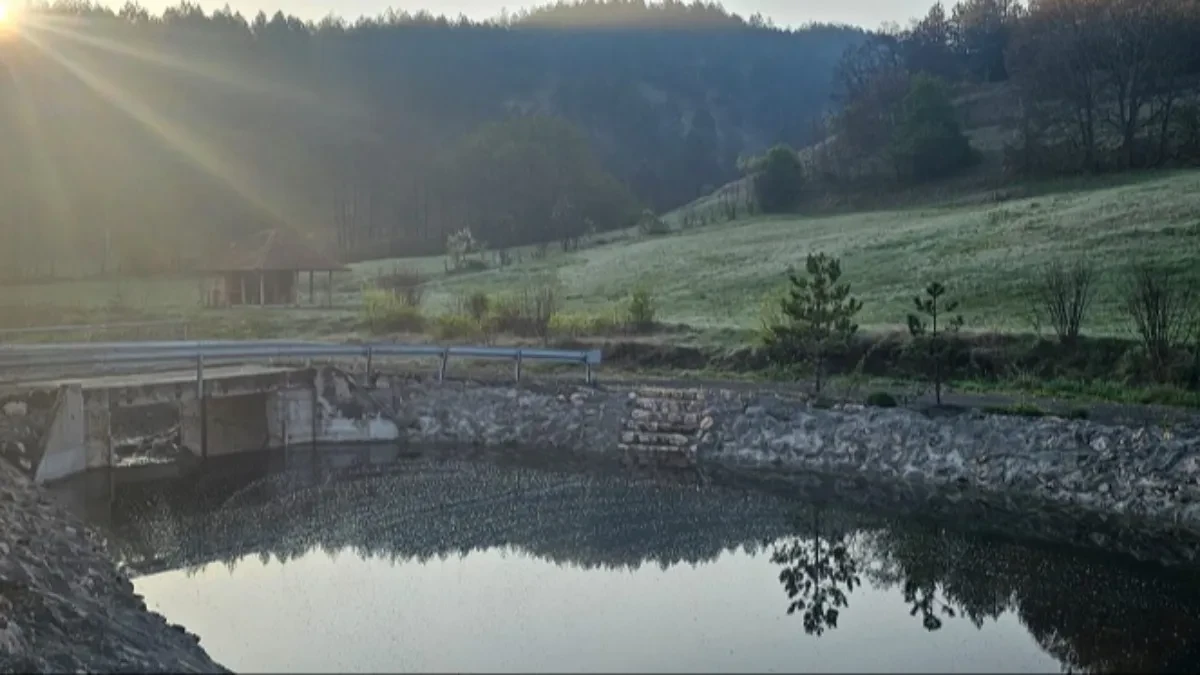 Gorsko jezero u Pranjanima: Skrivena oaza mira usred netaknute prirode Srbije
