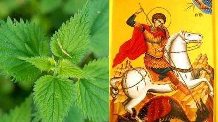 Veruje se da pre Đurđevdana obavezno ovu biljku morate uneti u kuću: Pripisuje joj se magijska moć - štiti dom od loše energije, bolesti i nesreće