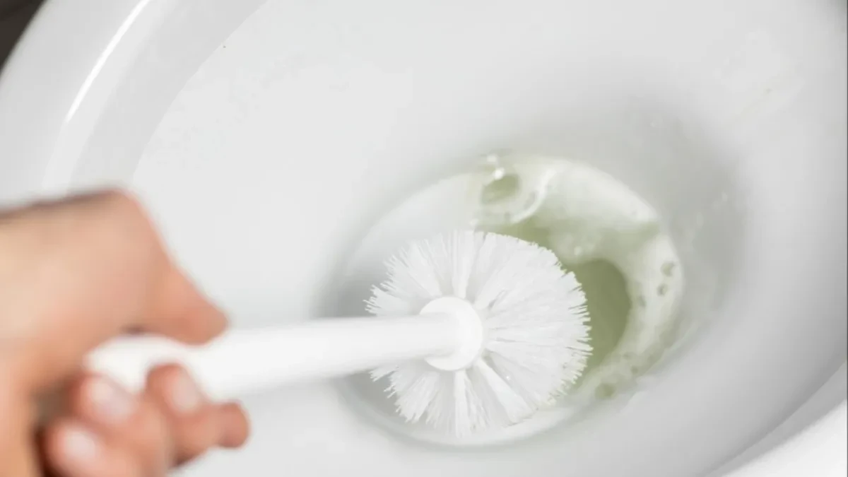 Stavite led u WC šolju jednom nedeljno i rešićete se velikog problema