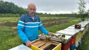 Do 30 kilograma meda po pčelinjem društvu: Sjajna sezona za pčelare, a od ministarstva stigao i poziv koji se ne odbija