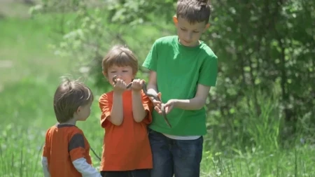 Kad se zmija zavuče u kolevku za bebe i u saksiju na terasi