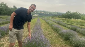 Proizvodnja ove biljke u Srbiji donosi odličnu zaradu: Odmah se isplati, novac kaplje svaki mesec, svi kupuju!