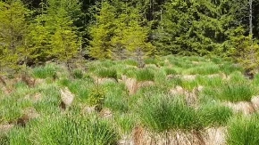 Mnogi ni ne znaju da u Srbiji postoji ovaj skriveni dragulj: Veruje se da su baš ovde živele vile