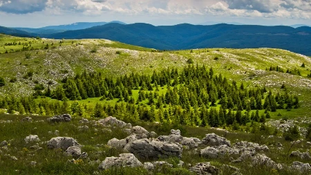 Ova netaknuta srpska planina je oaza za ljubitelje prirode: Krase je prelepi vodopadi, pećine i manastir
