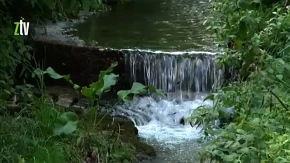 Ova banja je jedna od najlekovitijih u Srbiji: Zaboravljeni biser turizma krije pravo prirodno bogatstvo