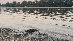 Kupači nisu ni svesni kakvo se blago krije na dnu Ade Ciganlije: Roniocima je ovo pravo otkriće, a kažu da put do tamo nije jednostavan