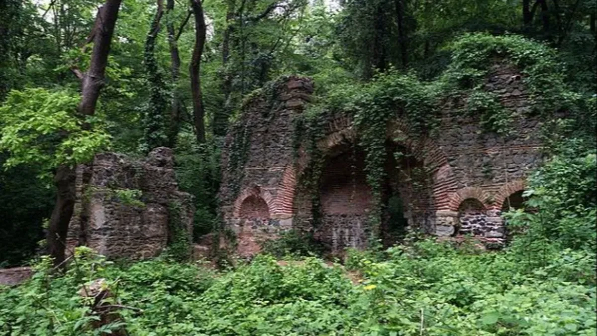 Da li ste znali da u Istanbulu postoji oaza mira, čije je ime Beogradska šuma?