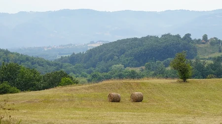 Sedam vila sa solarnim elektranama i na površini većoj od dva hektara: Ovo prelepo srpsko selo dobija sjajan turistički kompleks, evo šta kažu meštani