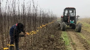 Ova ustanova je "dom" u kom nastaju srpske šljive: Čuveni Institut za voćarstvo u Čačku proslavio osam decenija rada