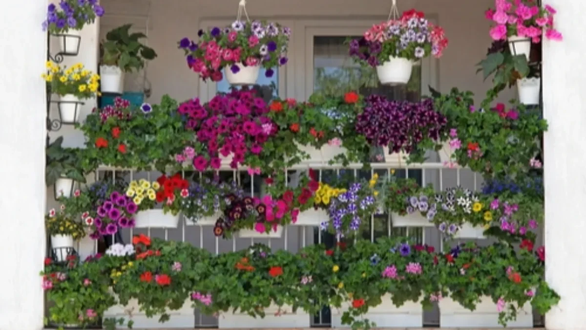 Kako se koristi pekarski kvasac za petunije? Cveće raste brže, a cvetovi postaju krupniji i bogatiji