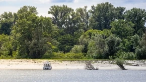 OVDE JE SNIMLJENO "VARLJIVO LETO 68" Na sat od Beograda nalazi se najlepša plaža na Dunavu
