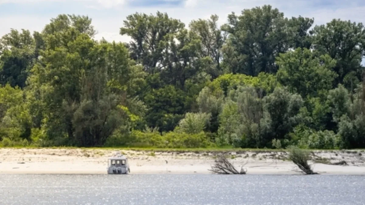 OVDE JE SNIMLJENO "VARLJIVO LETO 68" Na sat od Beograda nalazi se najlepša plaža na Dunavu