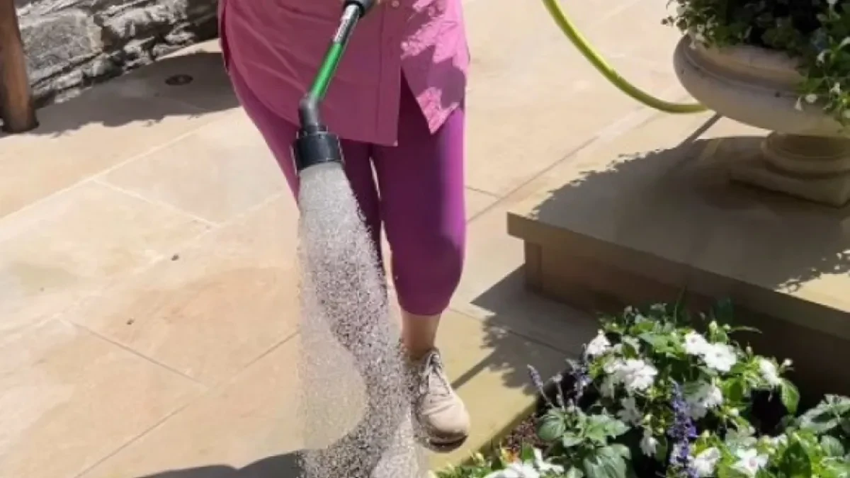 Da li cveće napolju treba da se zaliva ujutro ili uveče: Mnogi prave grešku