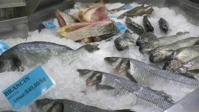 Pre nego što kupite ribu obratite pažnju na 1 stvar: Samo od toga zavisi da li je sveža