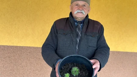 Ovu biljku smatraju čudom prirode, leči mnoge boljke i kod žena i kod muškaraca: Čuveni travar Mirko otkriva sve o čuvarkući 